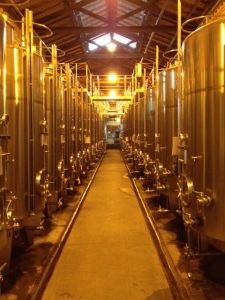 The tank room at Bodega (winery) Alta Vista near Mendoza.